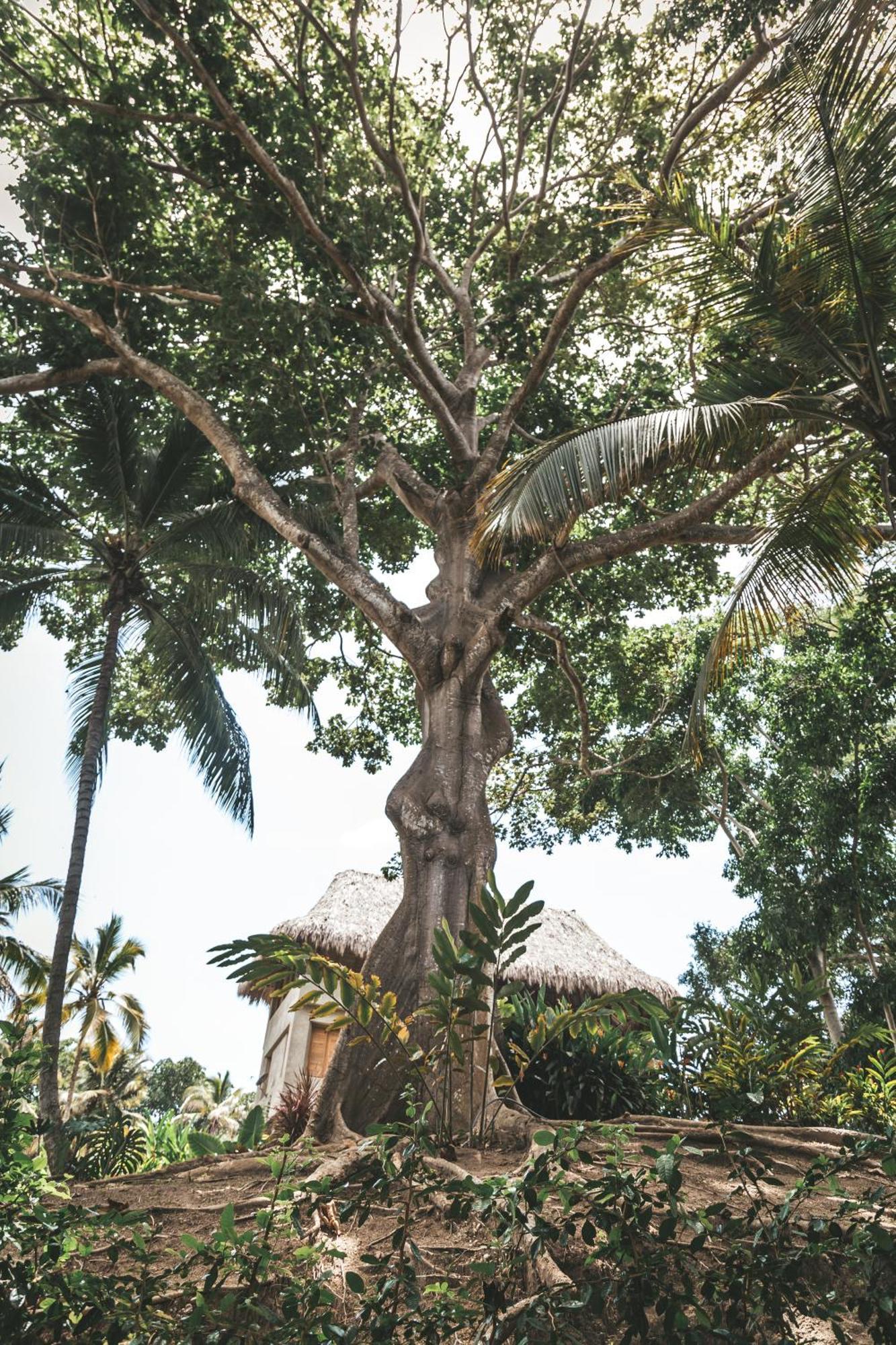 Cabana Wiwa Tayrona Los Naranjos Εξωτερικό φωτογραφία
